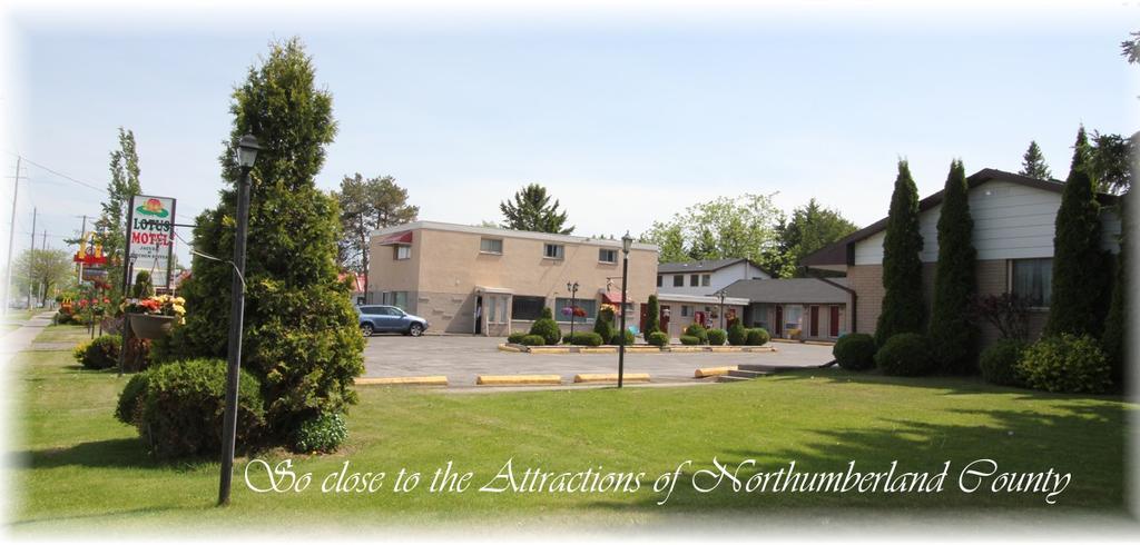Lotus Motel Cobourg Exterior photo